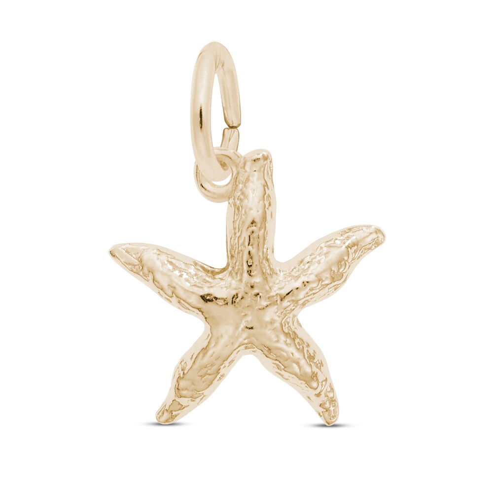 Starfish Charm 14K Yellow Gold 6uTe2nhG