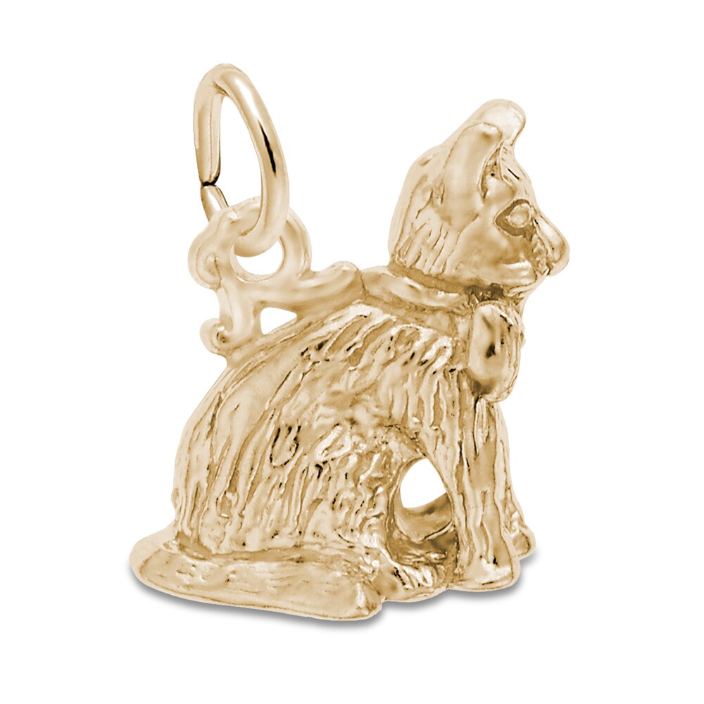 Cat Charm 14K Yellow Gold 8Tmw2KCX