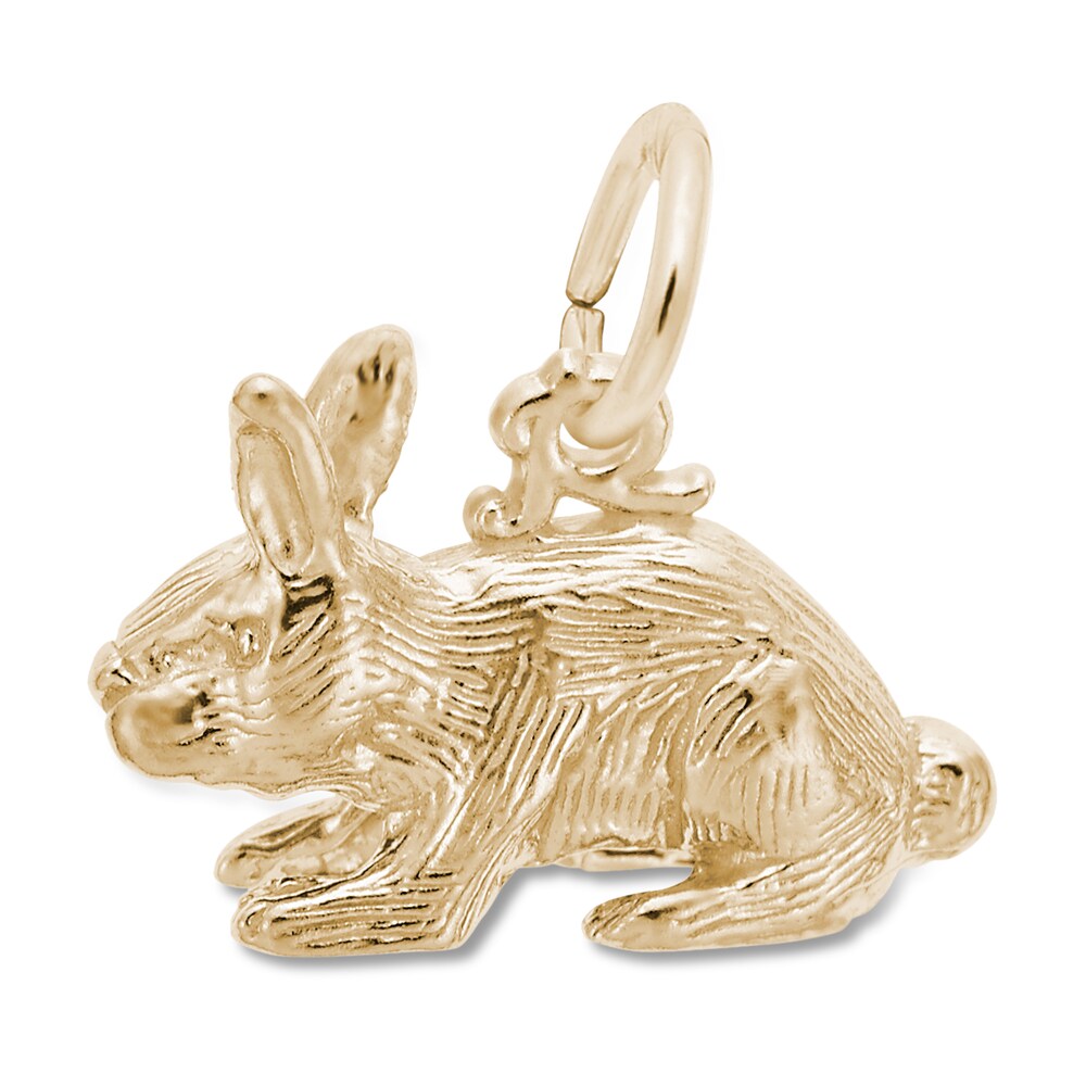 Rabbit Charm 14K Yellow Gold 8cx162Ar