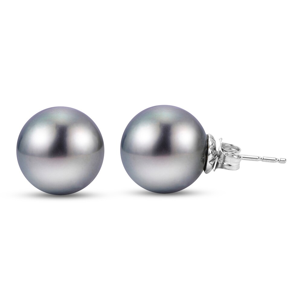 Tahitian Cultured Freshwater Pearl Stud Earrings 14K White Gold 8wiodgew