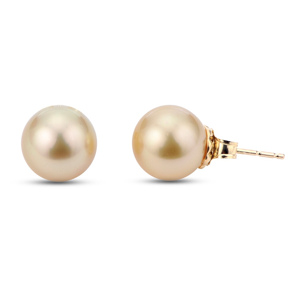 Cultured South Sea Pearl Stud Earrings 14K Yellow Gold BJFXrtbb