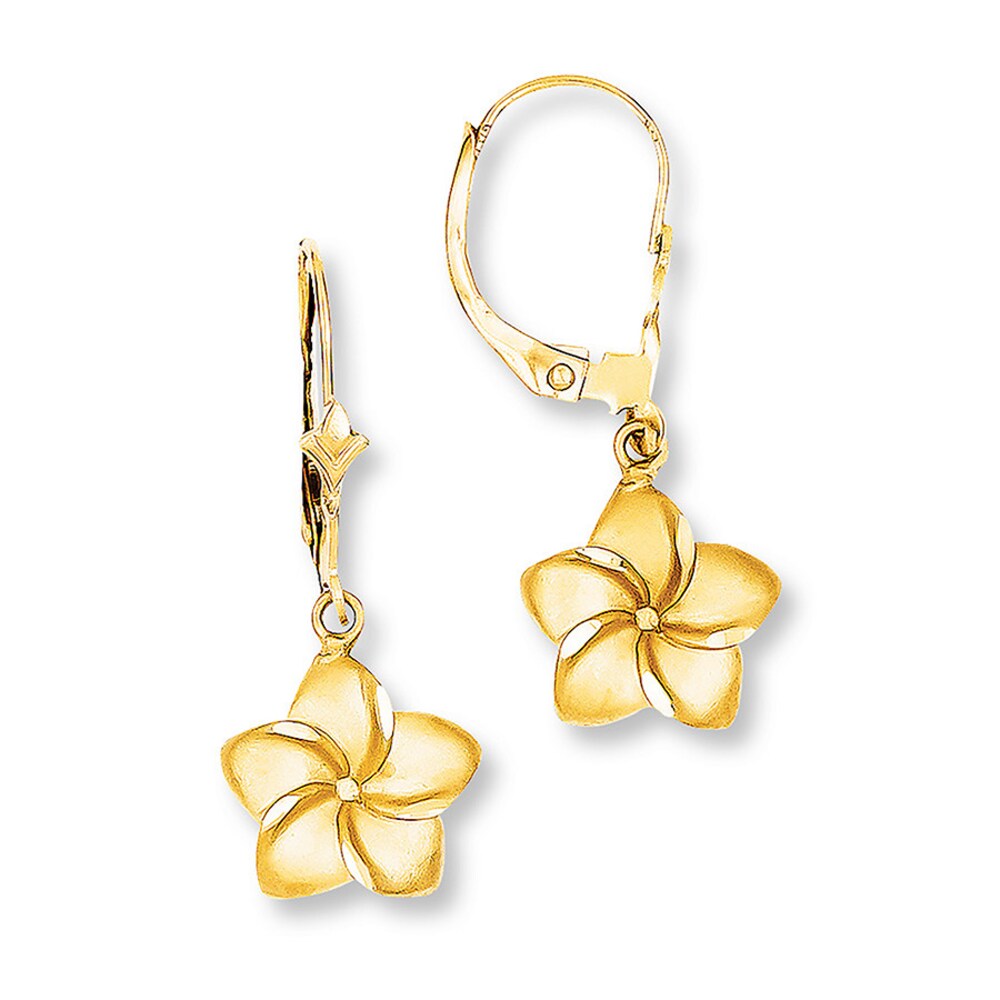 Flower Earrings 14K Yellow Gold HFs7XZyV