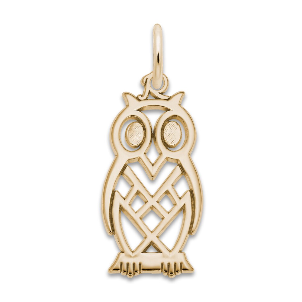 Wise Owl Charm 14K Yellow Gold JRlAA3ik