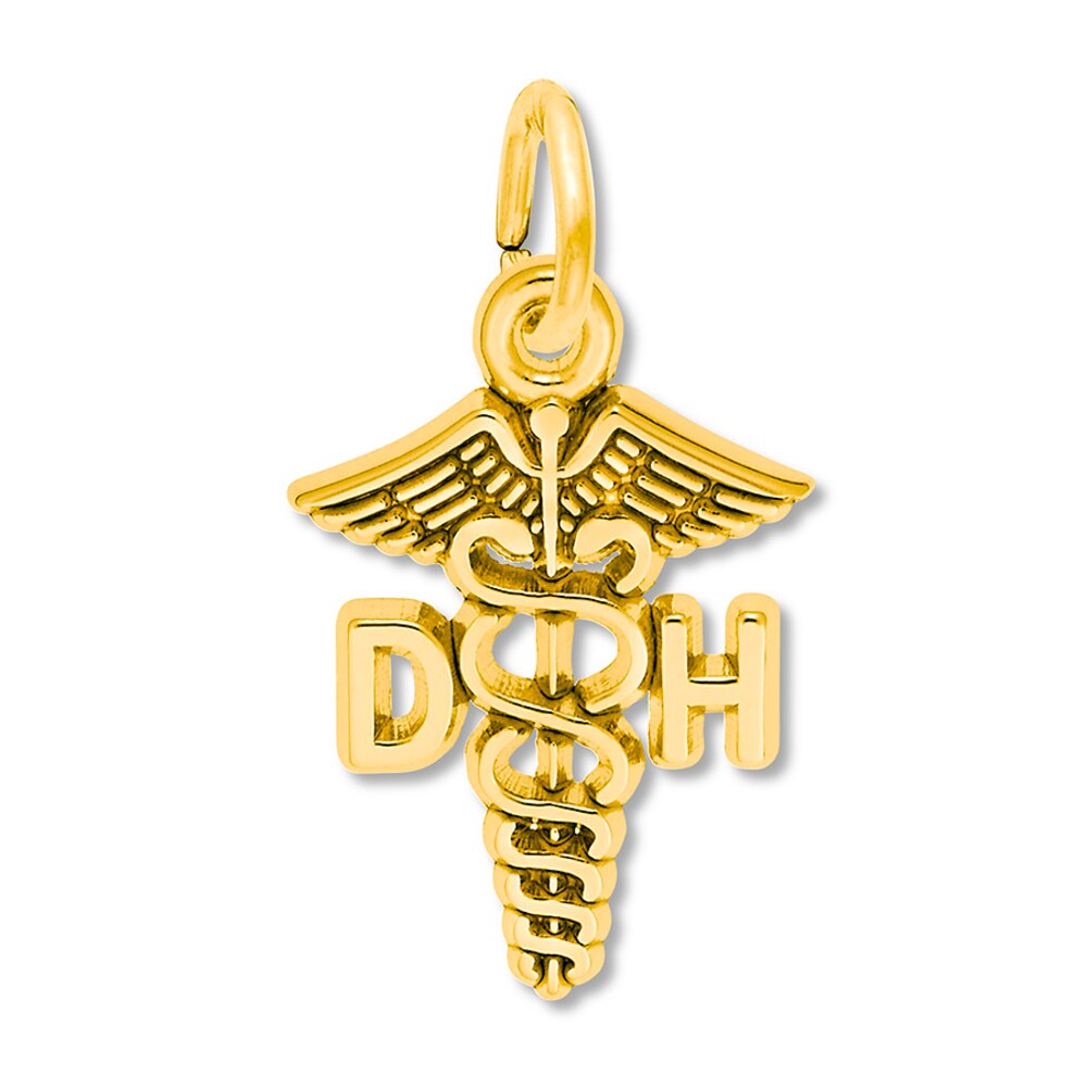 Dental Hygienist Charm 14K Yellow Gold LC7hnS9I