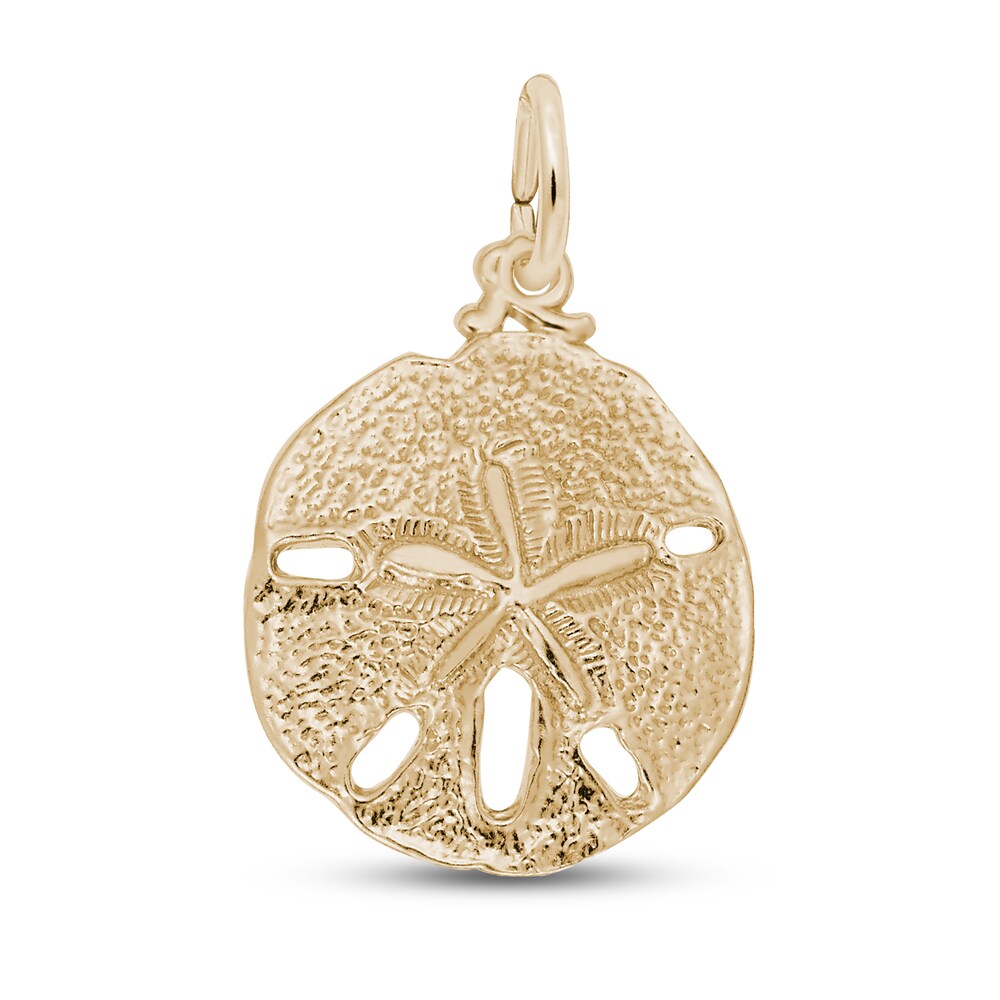 Sand Dollar Charm 14K Yellow Gold NgAZEuCn