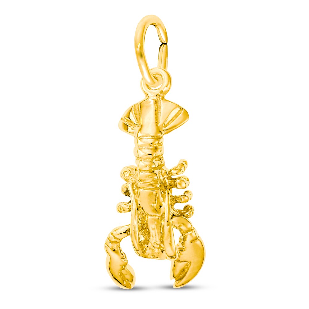 Lobster Charm 14K Yellow Gold TjugqglW