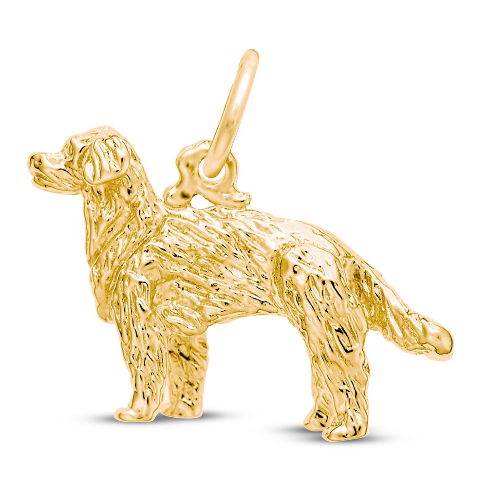 Golden Retriever Charm 14K Yellow Gold ZoBr86QN