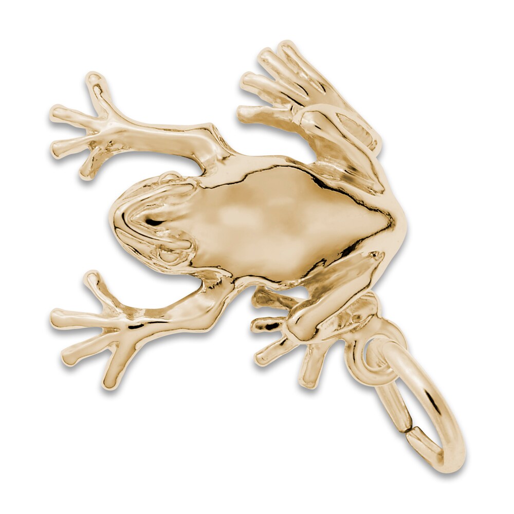 Frog Charm 14K Yellow Gold a6JlLkxn