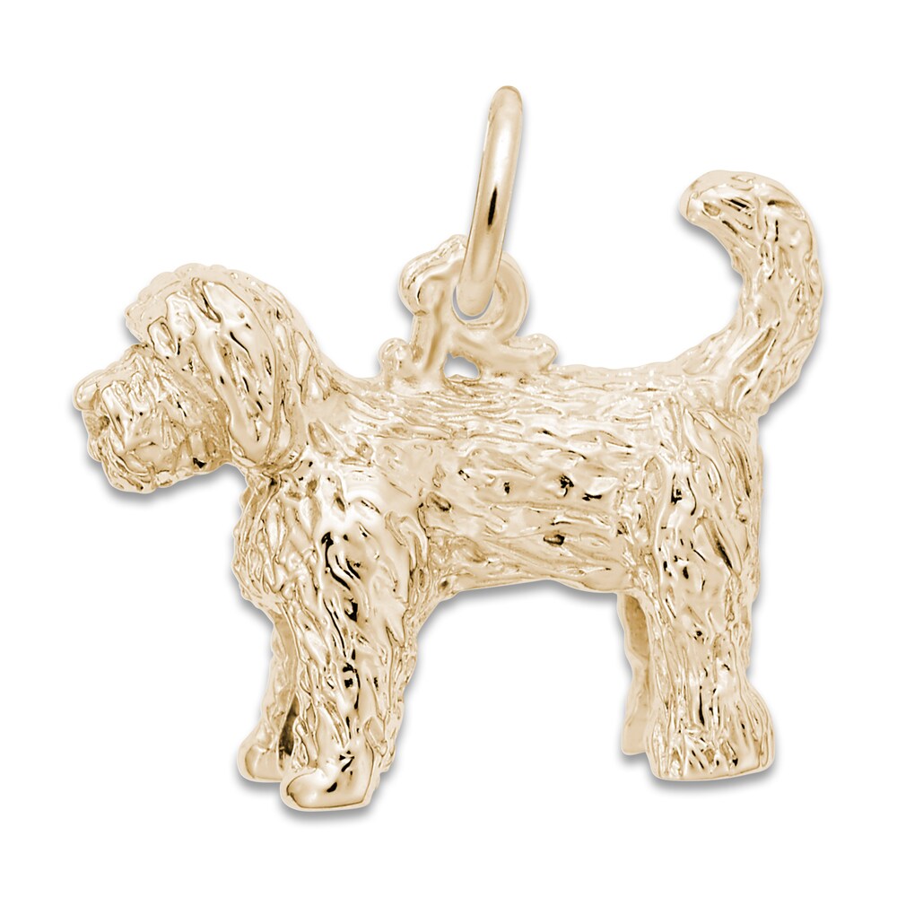 Labradoodle Charm 14K Yellow Gold dtT4dMSH