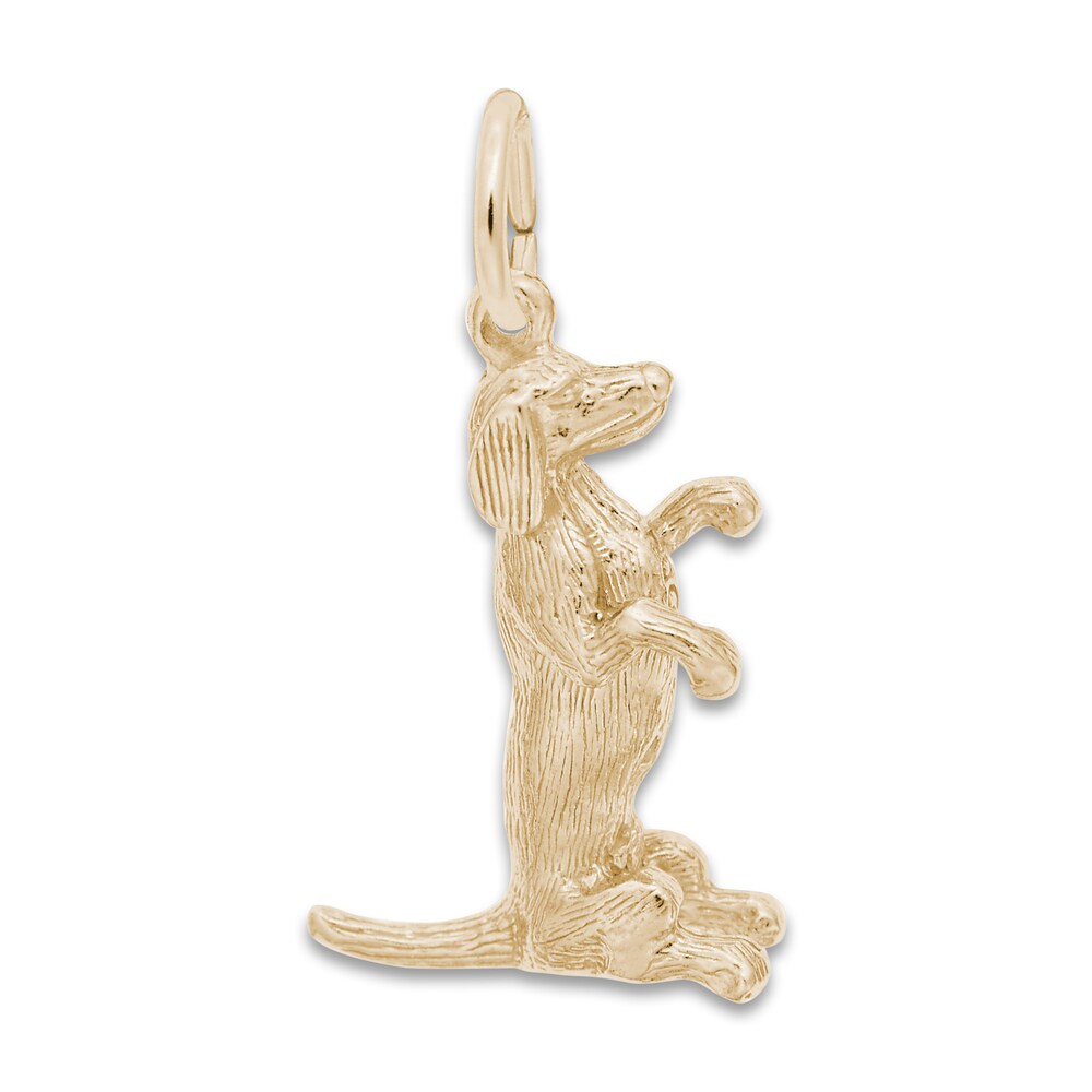 Dachshund Dog Charm 14K Yellow Gold e3F7NAWp