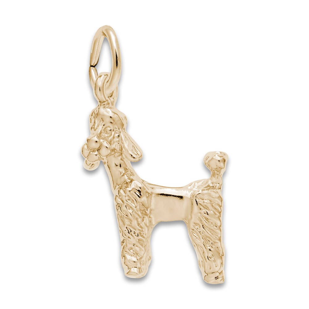 Poodle Dog Charm 14K Yellow Gold faZ2ASNL