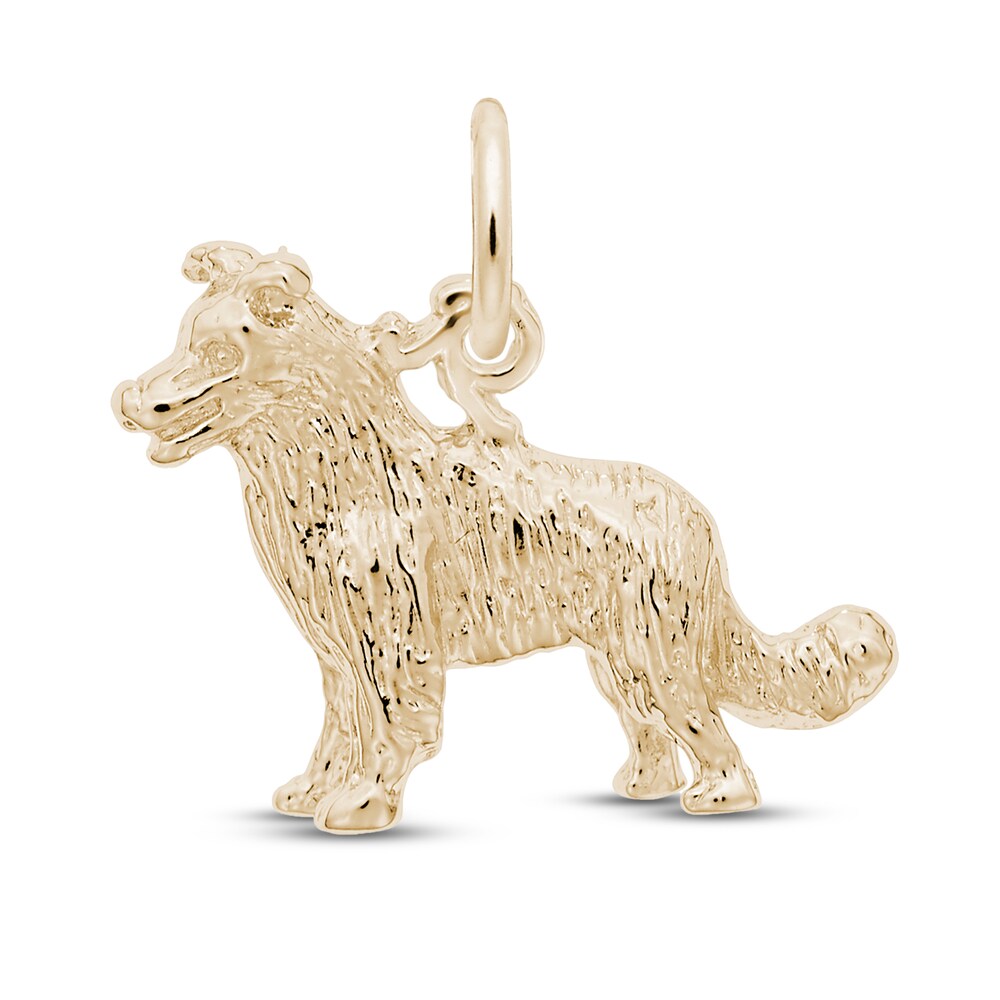 Border Collie Charm 14K Yellow Gold hHQIpyHf