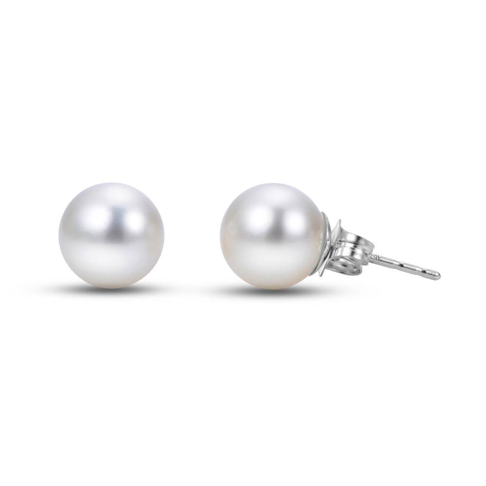 Cultured Akoya Pearl Stud Earrings 18K White Gold hubzzl6h