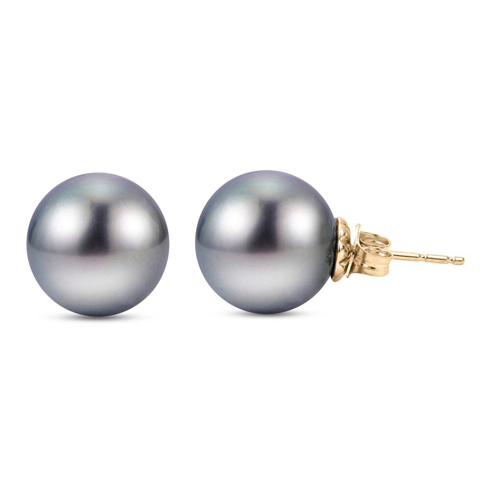 Tahitian Cultured Freshwater Pearl Stud Earrings 14K Yellow Gold lMEaUceF