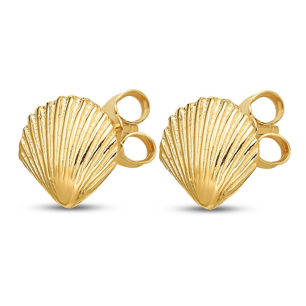 Sea Shell Stud Earrings 14K Yellow Gold mGYw42t6