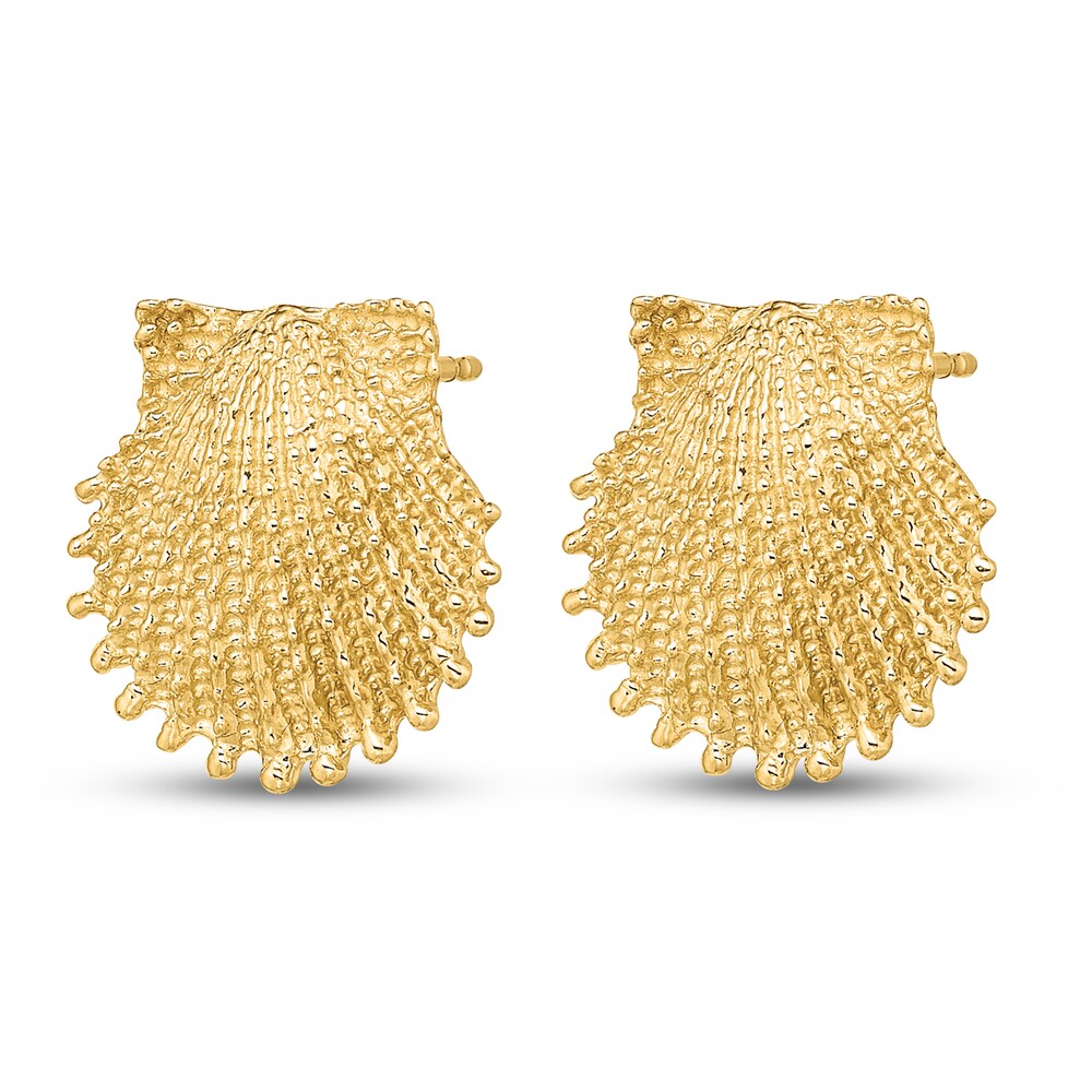 Beaded Scallop Shell Stud Earrings 14K Yellow Gold nPjGiGVW