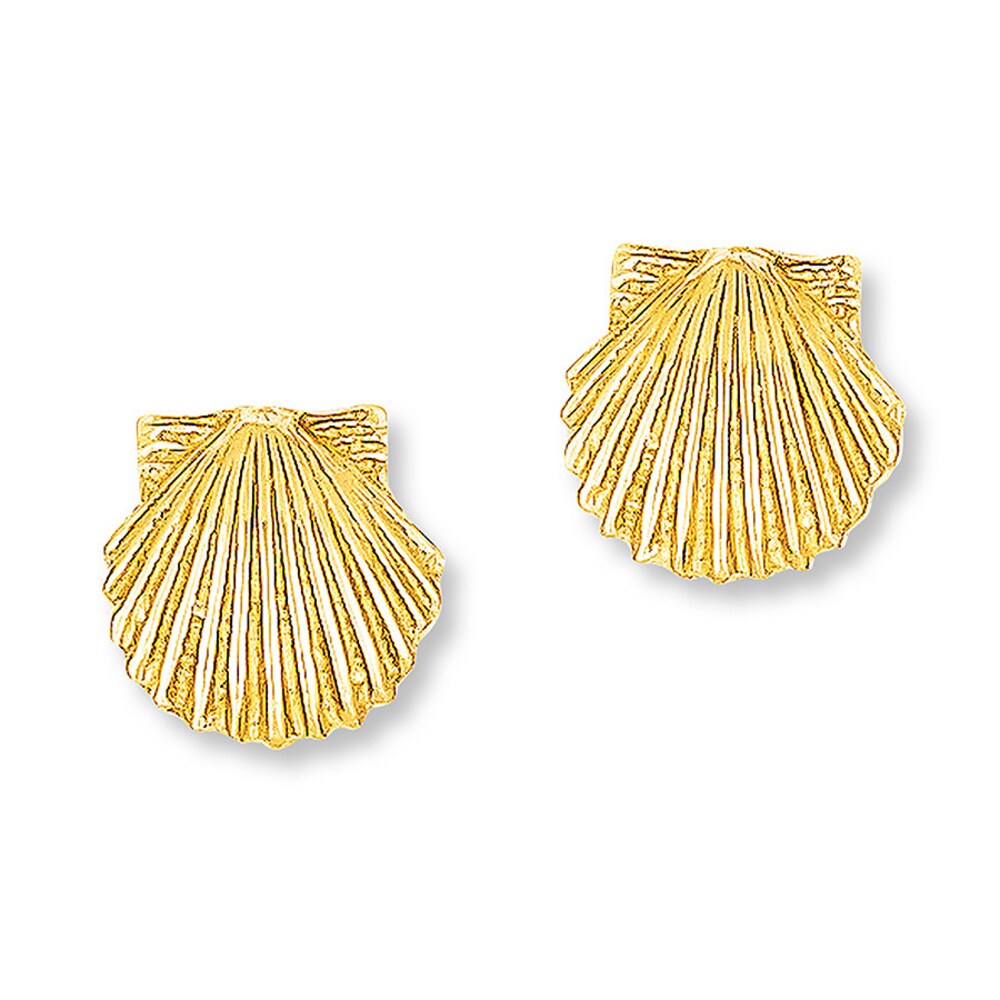 Seashell Earrings 14K Yellow Gold oTyczTP9
