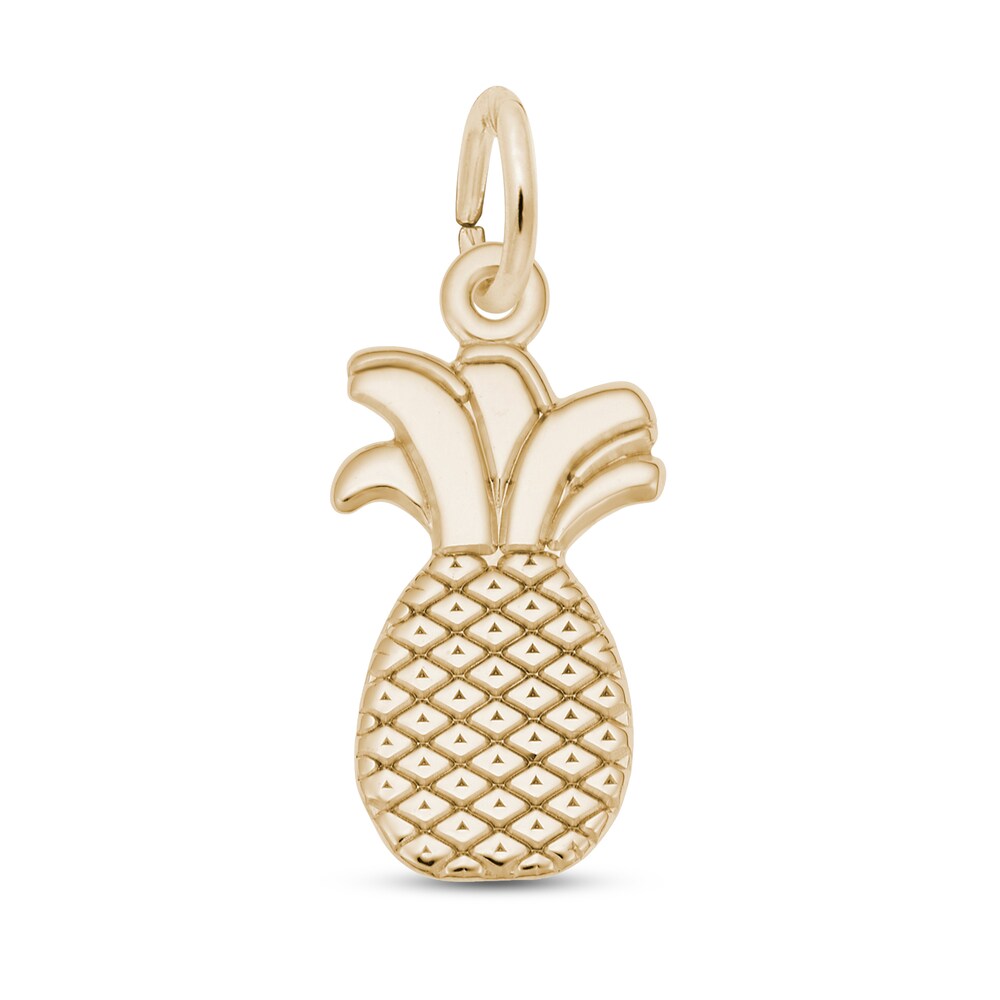 Pineapple Charm 14K Yellow Gold p6XcB04G