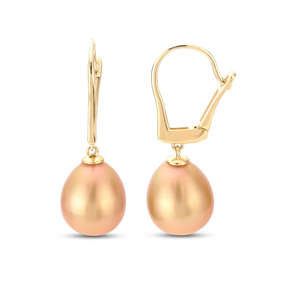 South Sea Golden Cultured Pearl Drop Earrings 14K Yellow Gold r4Cb0QGU