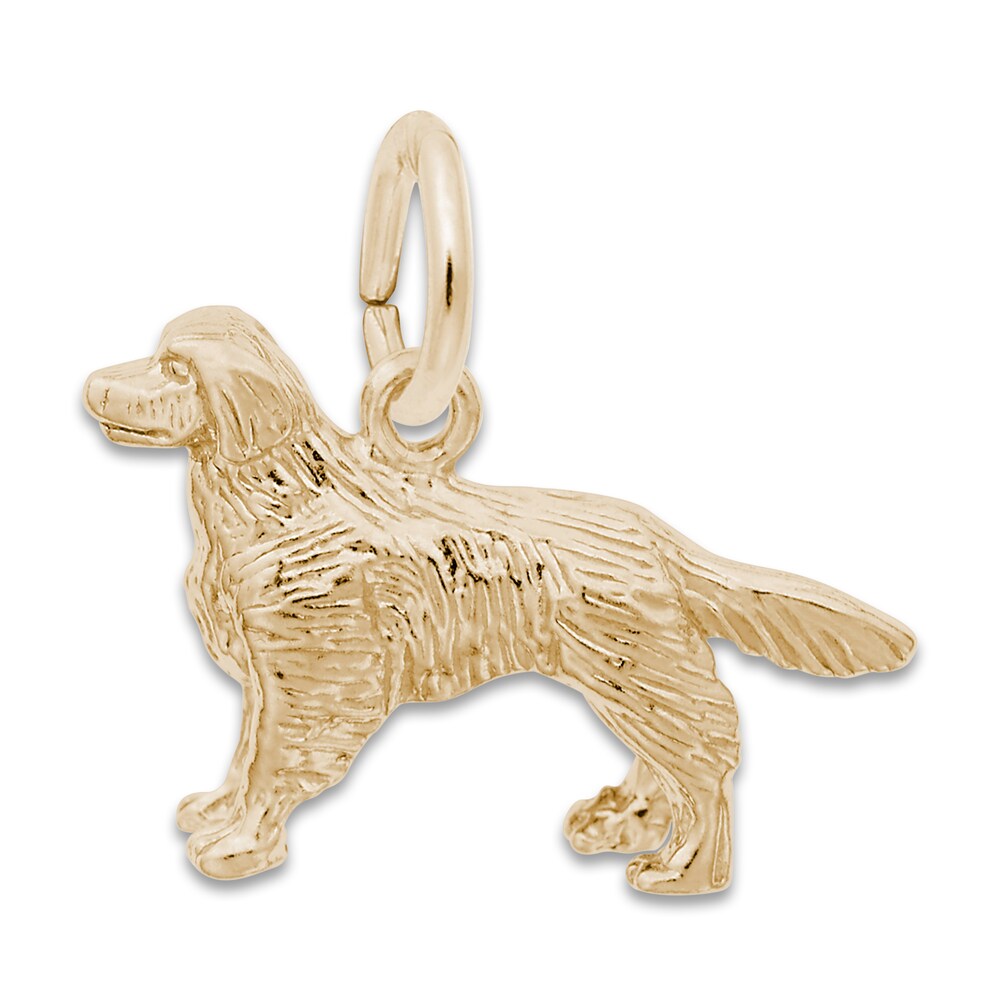 Golden Retriever Charm 14K Yellow Gold uW6kCKmS