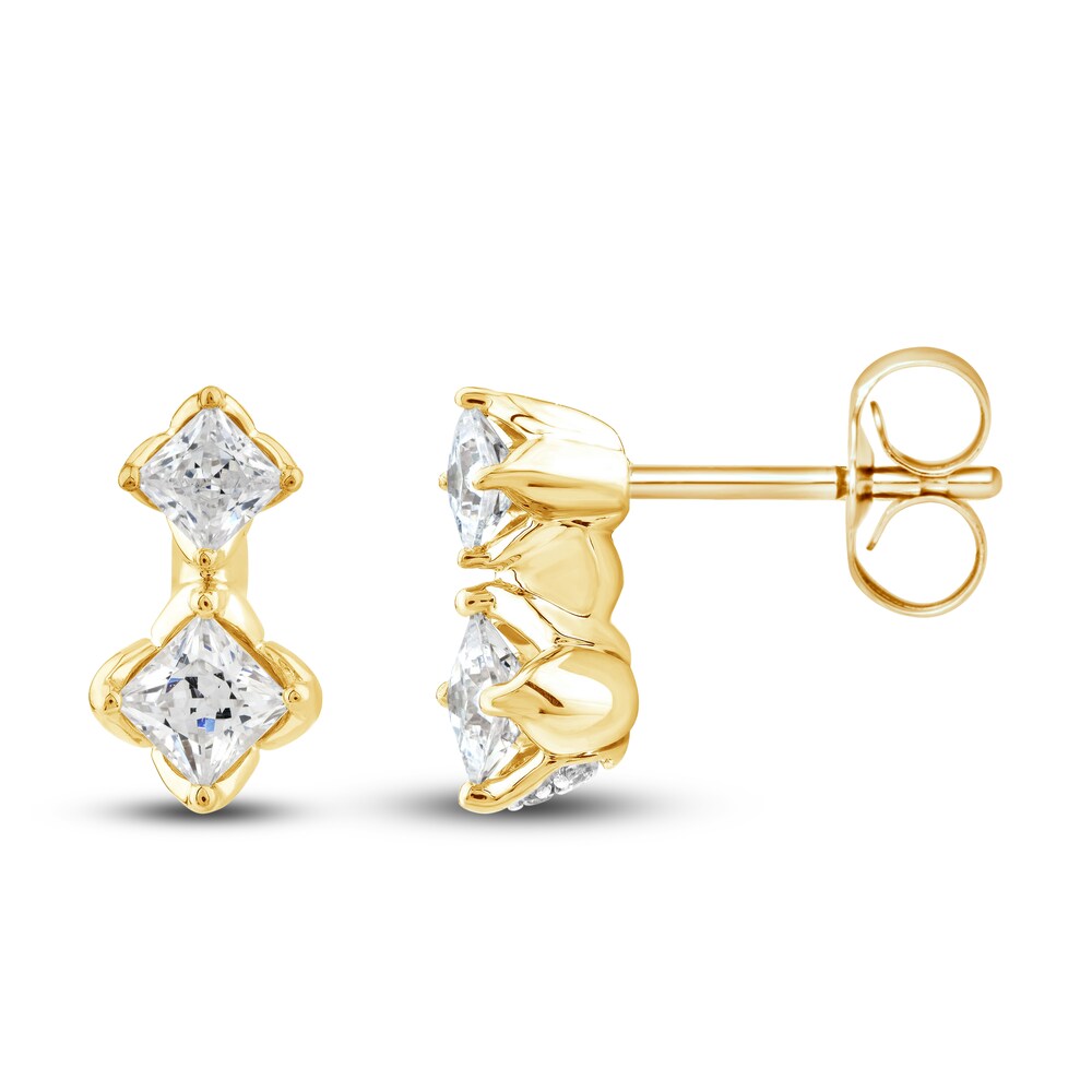 Diamond Drop Earrings 3/4 ct tw Princess/Round 10K Yellow Gold waAIUF80