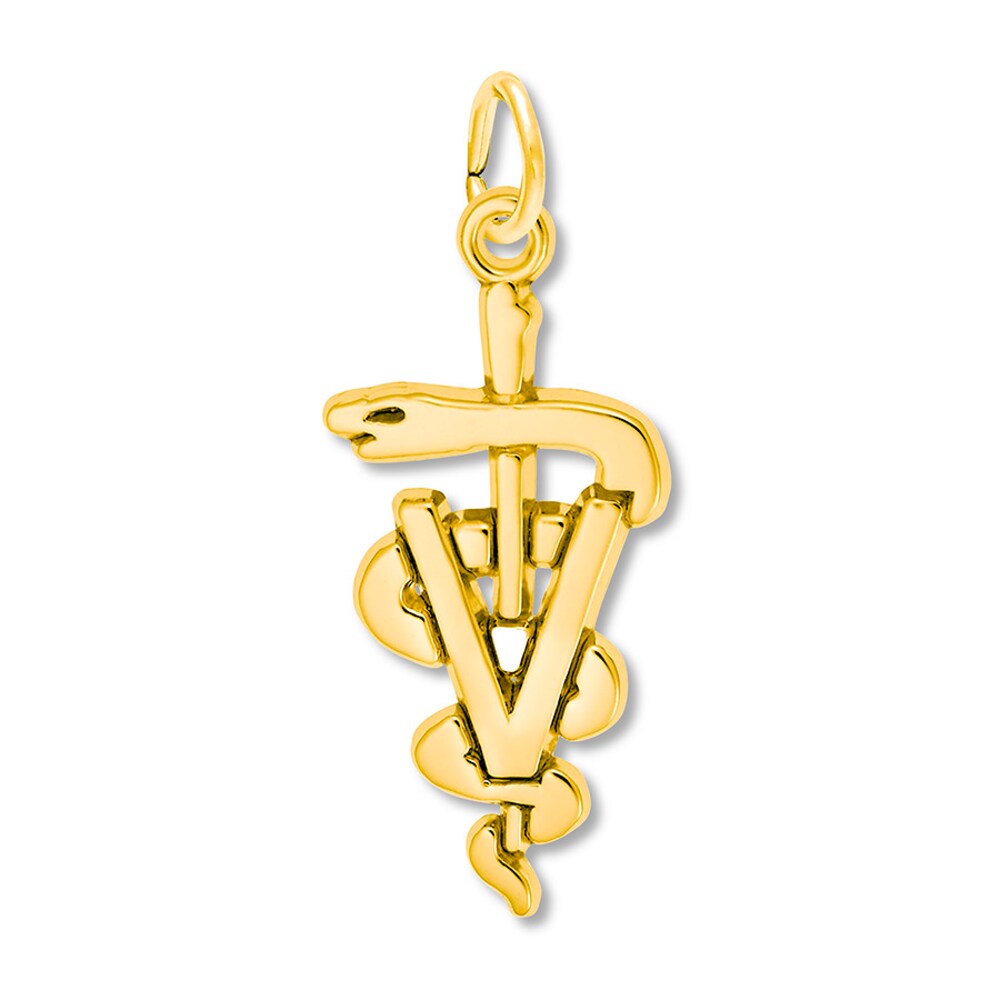 Veterinarian Symbol Charm 14K Yellow Gold wmTnvgAL