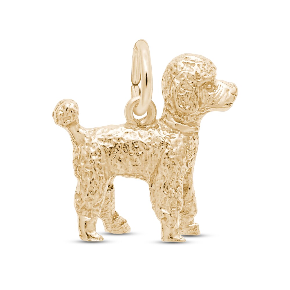 Poodle Charm 14K Yellow Gold yM329nxX