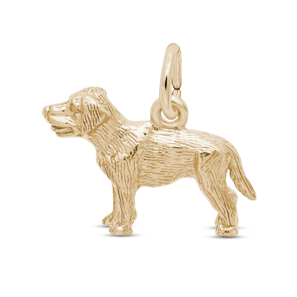 Labrador Charm 14K Yellow Gold zYHCkXo8